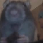 thumbnail-p7tdb223ai66jdwj7n9q90yo
